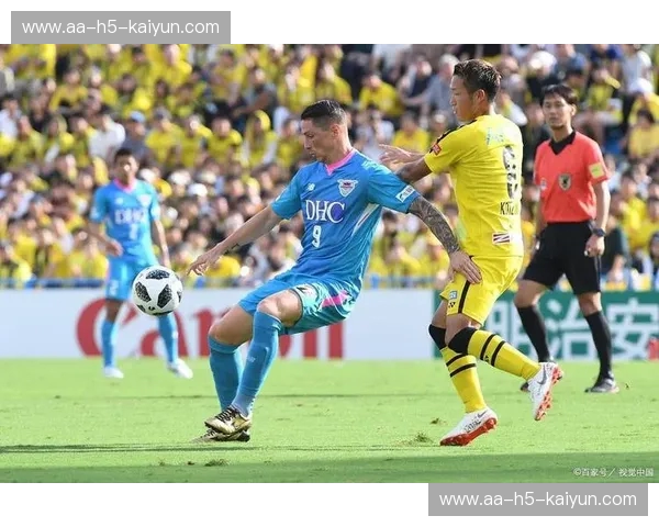 东京绿茵vs金泽：绿茵场上的绿城之约，激情碰撞，谁主沉浮？